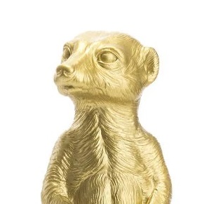 Uitsnede 2 Stokstaartje